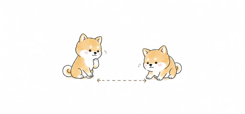 線を話し直す2匹